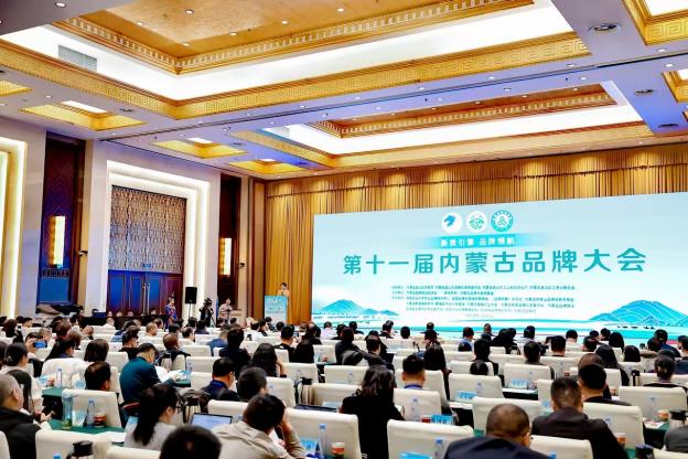 1736910381124211.jpg 1736910381124211.jpg