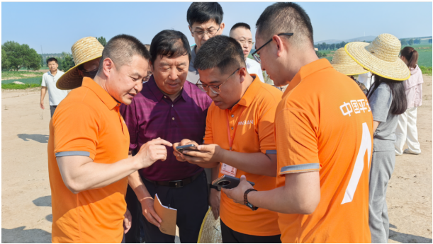 1751246226967440.png image.png